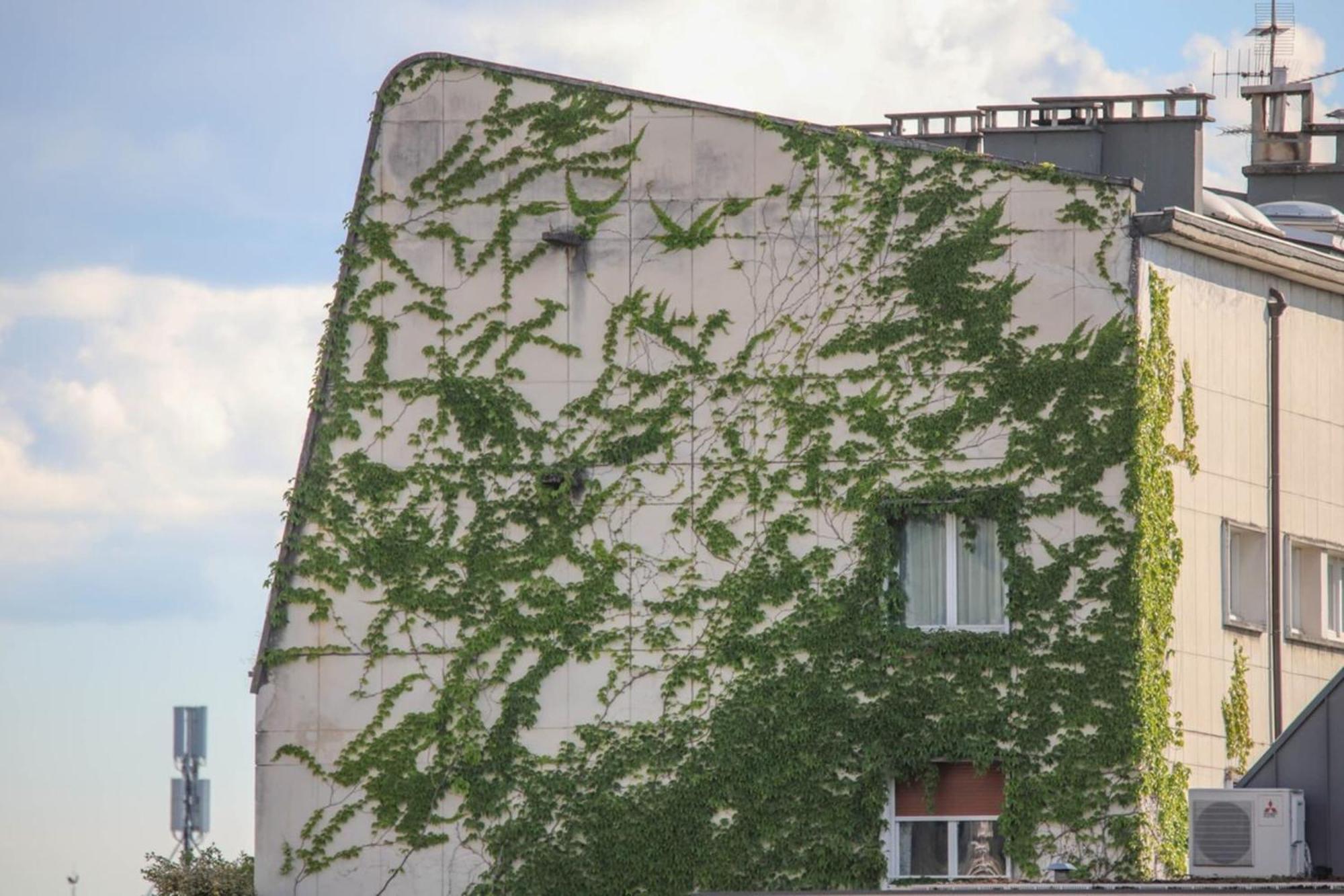 La Pause Annecienne Appartement Familial Annecy Eksteriør bilde